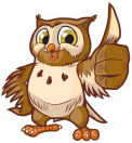 owl owl