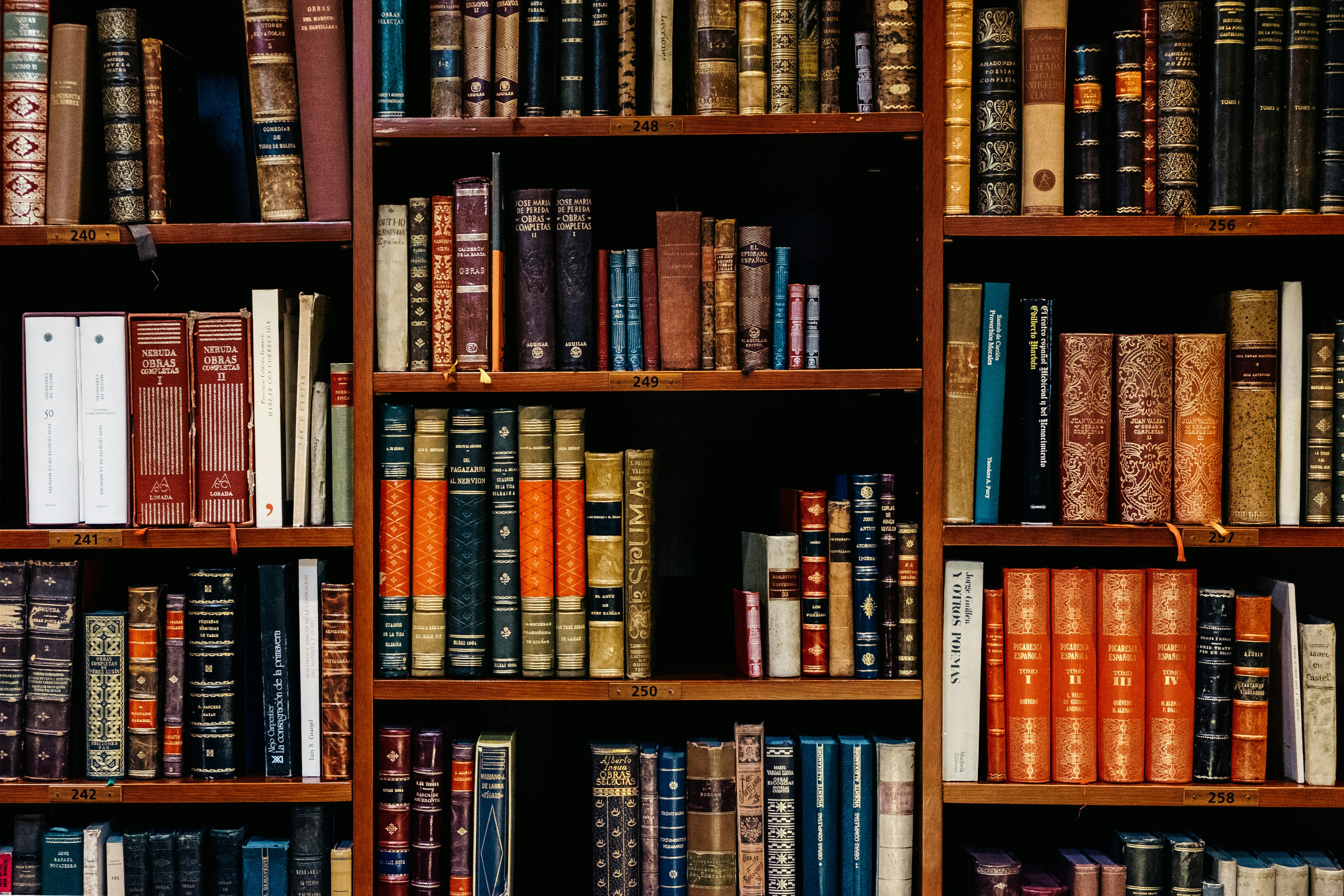 inaki_del_olmo_nijueqw0rkg_unsplash
