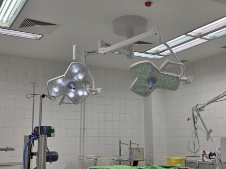 20251030_112205_mutolampa2