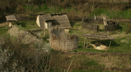 Wolf_BSZE2026_oktatoi_jelentkezes Wolf_BSZE2026_oktatoi_jelentkezes